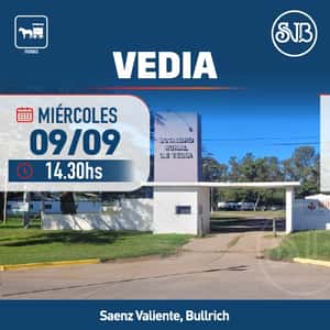 Feria en Vedia