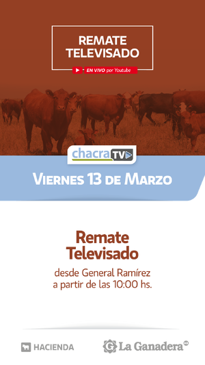 85° REMATE TELEVISADO