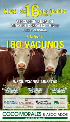 Imagen Feria Mensual - Coco Morales