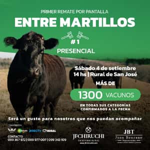 1º Remate Virtual