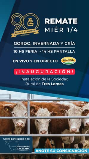 257° REMATE POR PANTALLA "90° ANIVERSARIO" DESDE TRES LOMAS