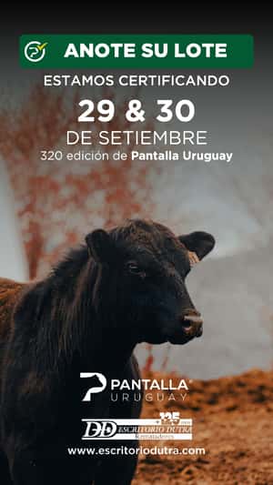 320º remate Pantalla Uruguay