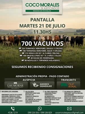 Imagen Pantalla Coco Morales