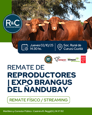 Remate de reproductores, Expo Brangus del Ñandubay
