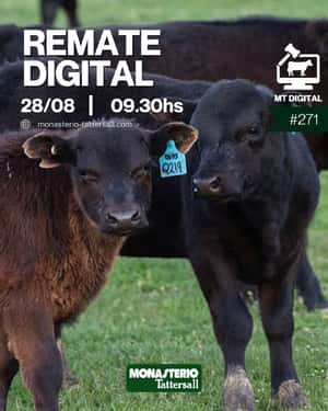 271° Remate por internet
