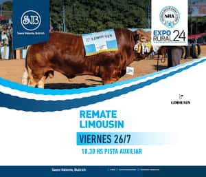 Remate LIMOUSIN