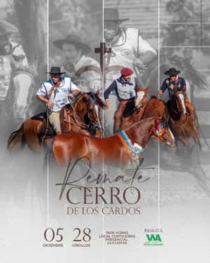 Cabaña Cerro De Los Cardos