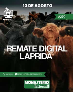 270° Remate por internet   