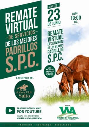 Remate Servicios SPC