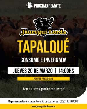 20 de Marzo - Tapalqué