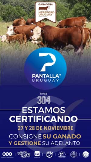 304º remate Pantalla Uruguay