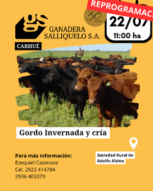 REMATE EN CARHUÉ
