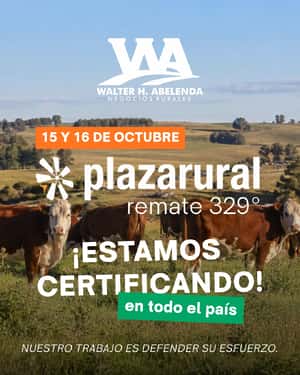 329º remate Plaza Rural