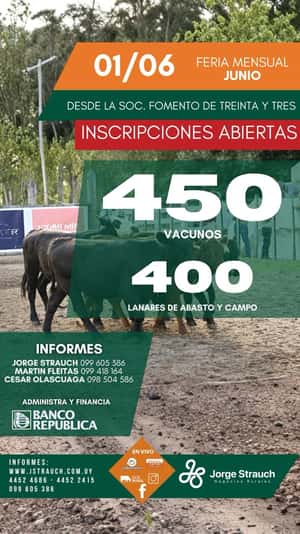 Feria Mensual - Jorge Strauch