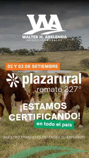 327º remate Plaza Rural
