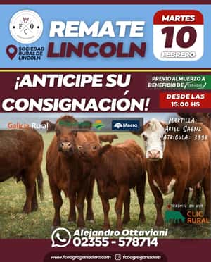 10 de Febrero - Lincoln