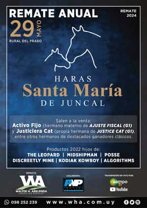 Remate Anual - Haras Santa Maria del Juncal