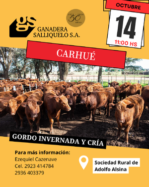 REMATE EN CARHUÉ