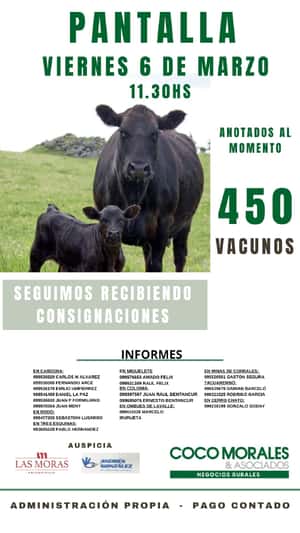 Imagen Remate Virtual