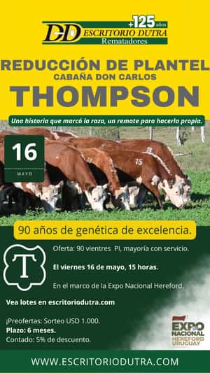 Reducción de plantel Cabaña Don Carlos THOMPSON