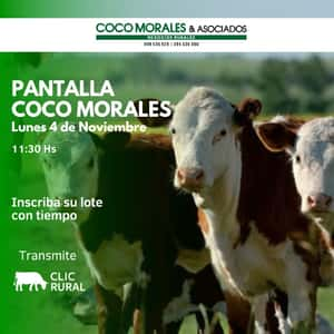 Imagen Pantalla Coco Morales