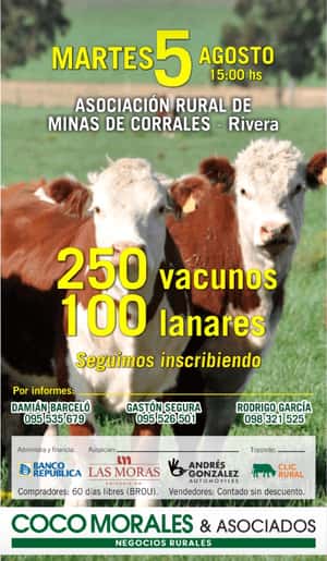 Imagen Feria mensual - Coco Morales