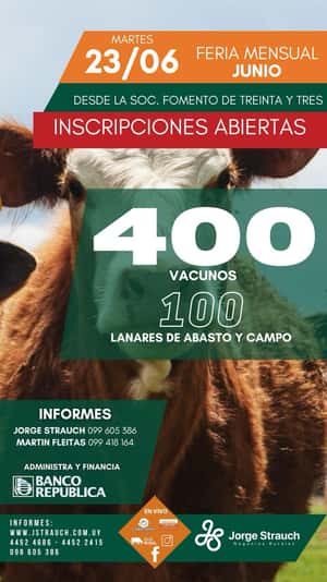Feria mensual - Jorge Strauch