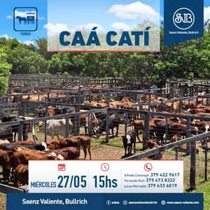 Feria en Caá Catí