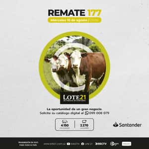 177° Remate Lote21