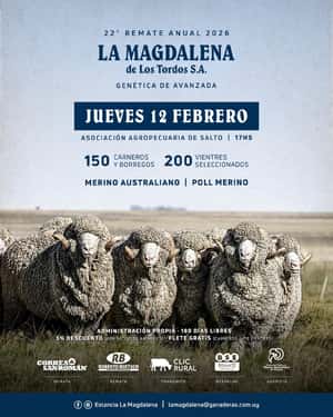 22° Remate Anual La Magdalena