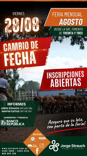 Feria mensual - Jorge Strauch