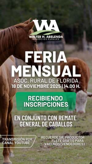 Feria Mensual