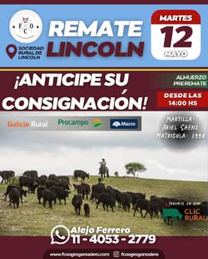 12 DE MAYO - Lincoln - Fisico