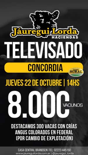 Remate televisado