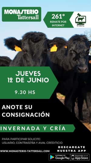 261° Remate por internet