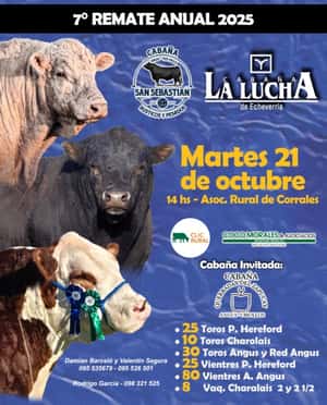 Imagen La Lucha, La Quebrada del Sapucay  y San Sebastian