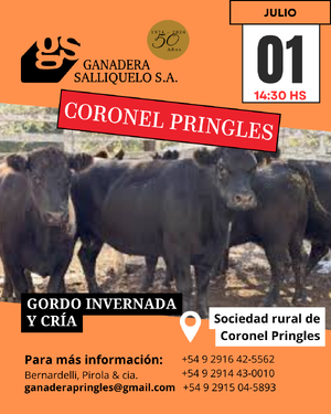 REMATE EN CORONEL PRINGLES