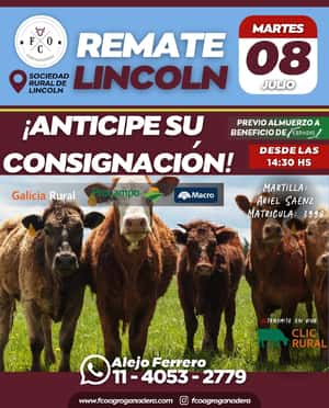 08 de Julio - Lincoln