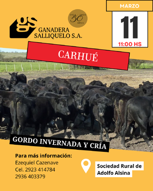 Gordo, Invernada y Cría