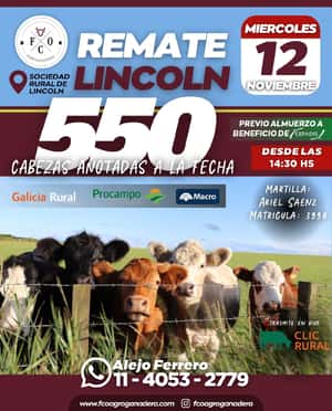 12 de Noviembre - Lincoln