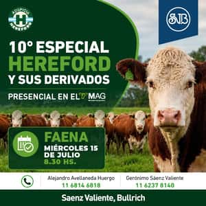 10° Especial Hereford y sus derivados