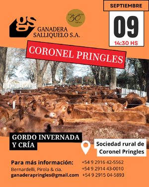  REMATE EN CORONEL PRINGLES