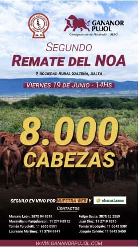 Segundo Remate del Noa, Sociedad Rural Salteña