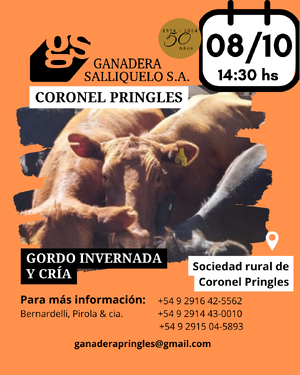 REMATE EN CORONEL PRINGLES