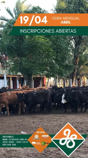 Feria Mensual Abril - Jorge Strauch