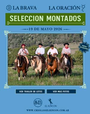 Selección Montados La Brava y La Oración