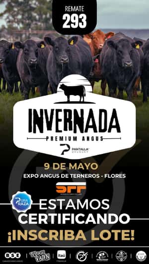 293º remate Pantalla Uruguay