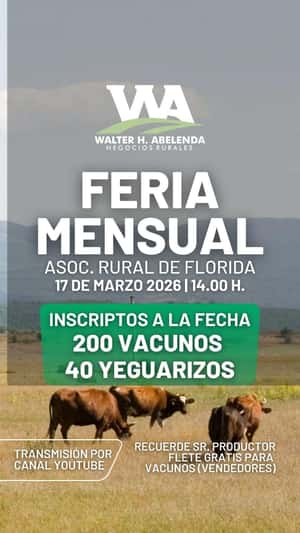 Feria Mensual - WHA