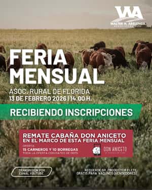 Feria Mensual
