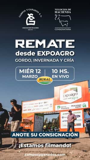 244° REMATE POR PANTALLA -